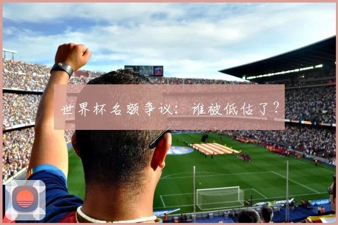 世界杯名额争议：谁被低估了？