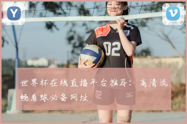 世界杯在线直播平台推荐:高清流畅看球必备网址