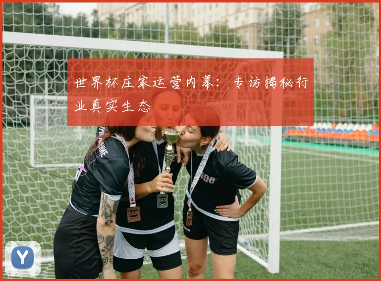 世界杯庄家运营内幕：专访揭秘行业真实生态