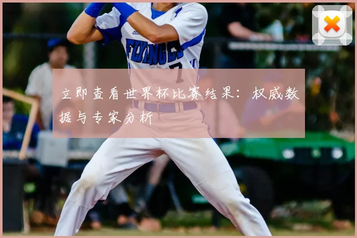 立即查看世界杯比赛结果：权威数据与专家分析