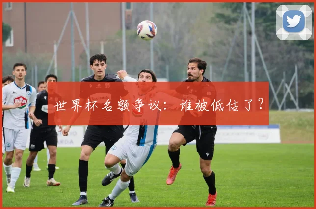 世界杯名额争议：谁被低估了？