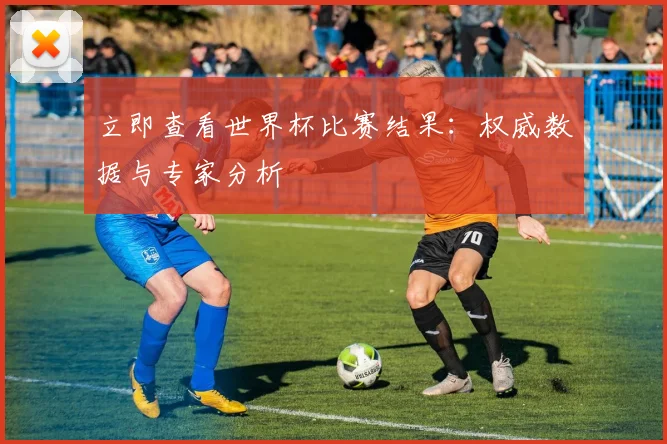 立即查看世界杯比赛结果：权威数据与专家分析