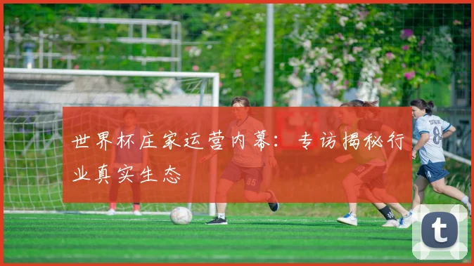 世界杯庄家运营内幕：专访揭秘行业真实生态