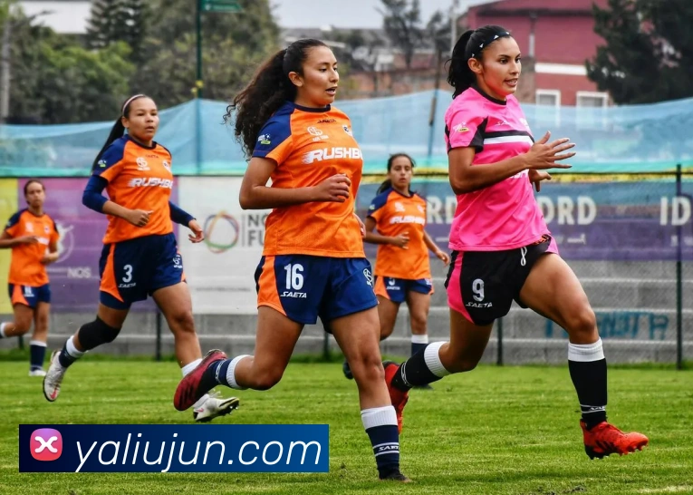 leyu乐鱼在线体育品牌故事